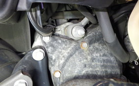 HONDA PS250 2006 MF09