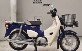 HONDA C50 SUPER CUB AA07