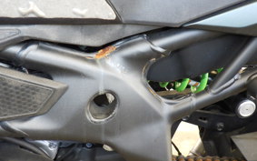 KAWASAKI ZX-4RR 2023