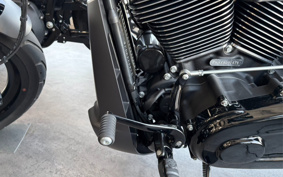 HARLEY FXDR114 2019 YVK