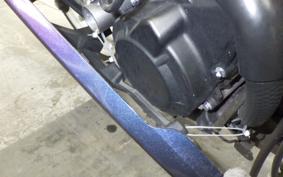 KAWASAKI ZX-25R 2022