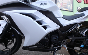 KAWASAKI NINJA 250 EX250L