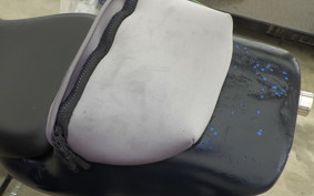 SUZUKI SV400S 2006 VK53A