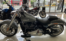 HARLEY  HARLEY FLFBS 2025 YGK