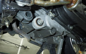 HONDA TACT Basket 2024 AF79