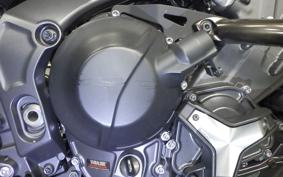 YAMAHA MT-09 2024 RN87J