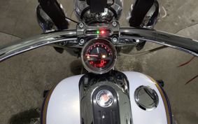 HARLEY HARLEY FLSTNSE1800CVO TF9
