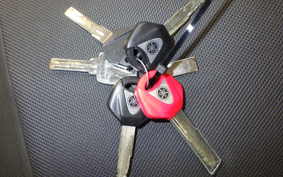 YAMAHA FJR1300 A 2020 RP27J