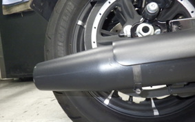 HARLEY XL883N 2021