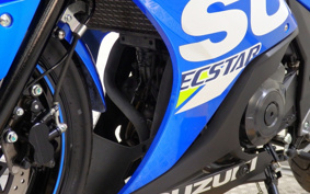 SUZUKI GSX250R DN11A