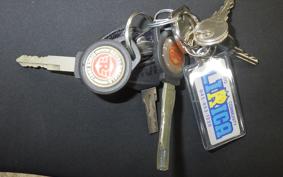 OTHER +ENFIELD ﾋﾏﾗﾔﾝ