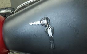 TRIUMPH SPEED TWIN 2024