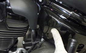 HARLEY FXLRST1920 2024