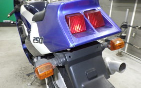 KAWASAKI ZXR250 2006 ZX250A
