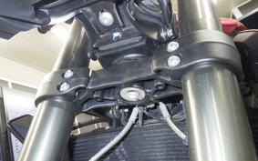 TRIUMPH STREET TRIPLE RS 2024