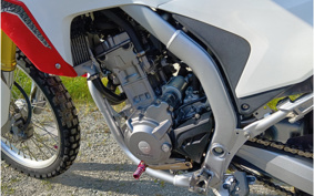 HONDA CRF250L MD38