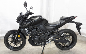 YAMAHA MT-25 RG74J