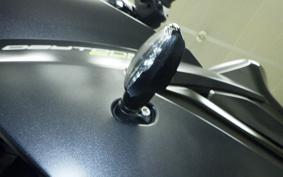 TRIUMPH DAYTONA 660 2024