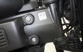 YAMAHA XSR155