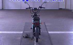 OTHER MINI BIKE