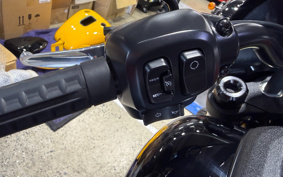 HARLEY FXLRS 2025 YWA