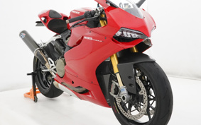 DUCATI 1199PANIGA-RES 2013