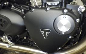 TRIUMPH SPEED TWIN 2024