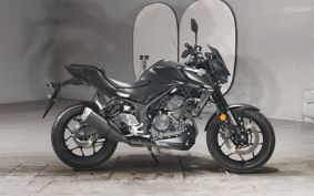 YAMAHA MT-25 RG95J