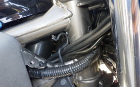 KAWASAKI Z250 SL BR250E