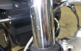 BMW R NINE T PURE 2021