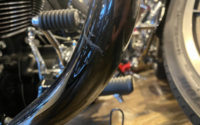 HARLEY FXBRS 2018 YHK
