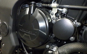 KAWASAKI Z250 SL 2009 BR250E