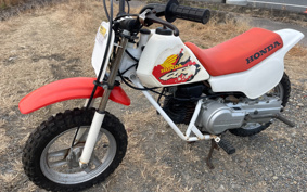 HONDA QR50 AE01