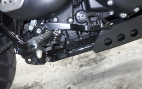 TRIUMPH SCRAMBLER 900 2023