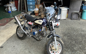 HONDA MONKEY Z50J