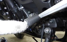 KAWASAKI NINJA ZX-6R A 2024 ZX636J