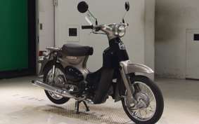 HONDA LITTLE CUB 2008 AA01