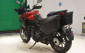 MV AGUSTA TURISMO VELOCE 800 2021
