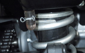 YAMAHA YZF-R15 2024 RG86J