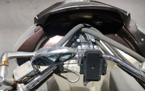 YAMAHA MAXAM 250 SG21J