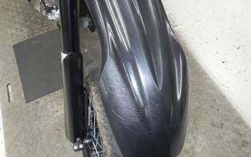 YAMAHA WR250X DG15J