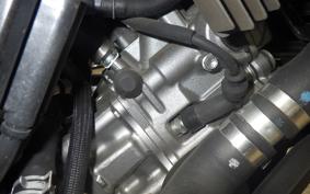 SUZUKI DL650 ( V-Strom 650 ) XTA 2019 C733A
