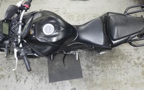 YAMAHA MT-25 A 2010 RG43J