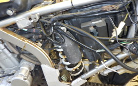 KAWASAKI KLX250 Gen.2 LX250S