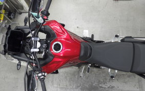 TRIUMPH TIGER 900 GT PRO 2024