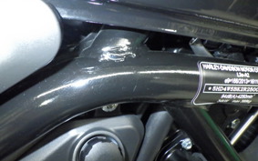 HARLEY X500 2024