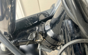 HARLEY XL883N 2019 LE2