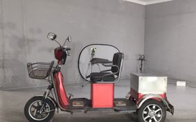 OTHER DENDOU TRIKE  ..