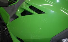 KAWASAKI NINJA 250 EX250P