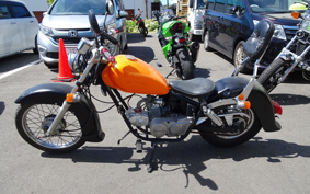 KAWASAKI NINJA 250 EX250L